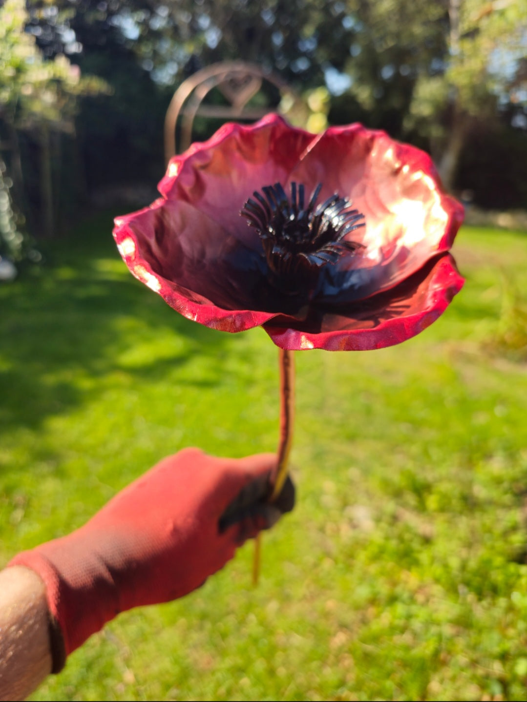 Copper Poppy