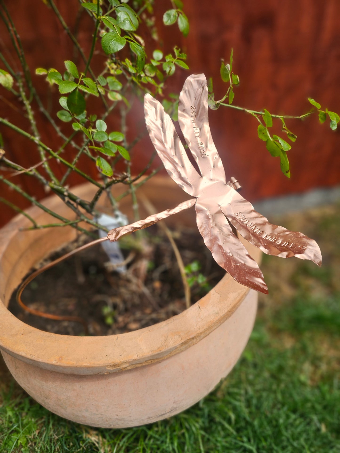 Copper Dragonfly