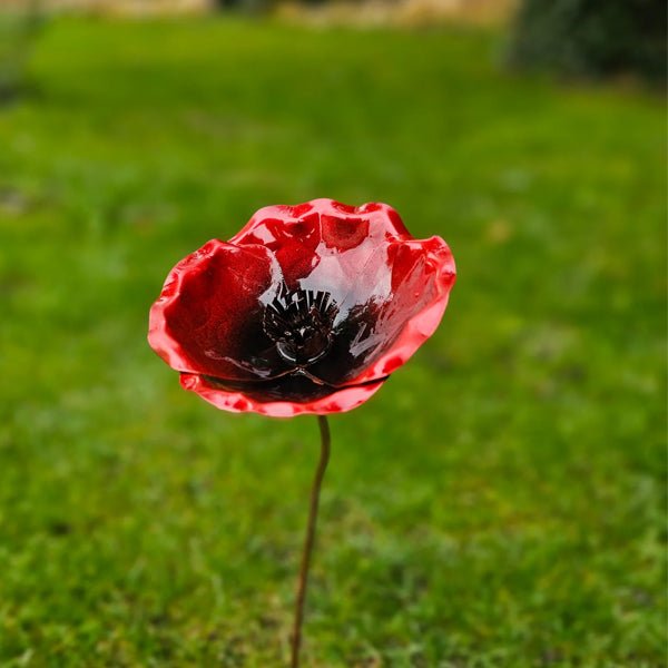 Supporting the Poppy Appeal This Remembrance Season - Copper Hearts UK