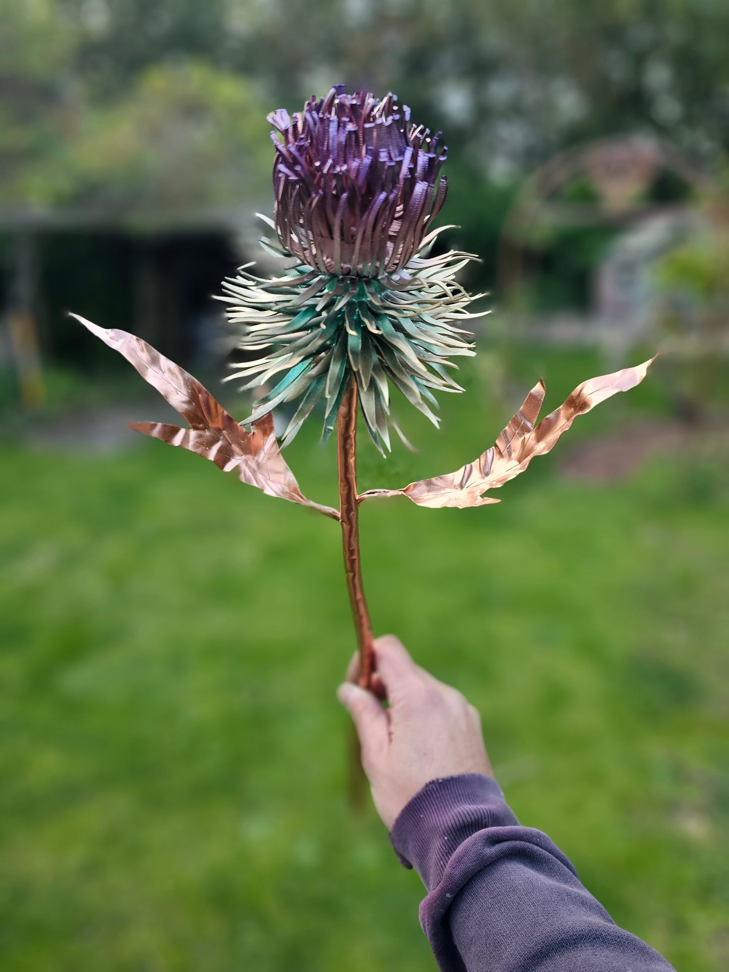 Copper Thistle