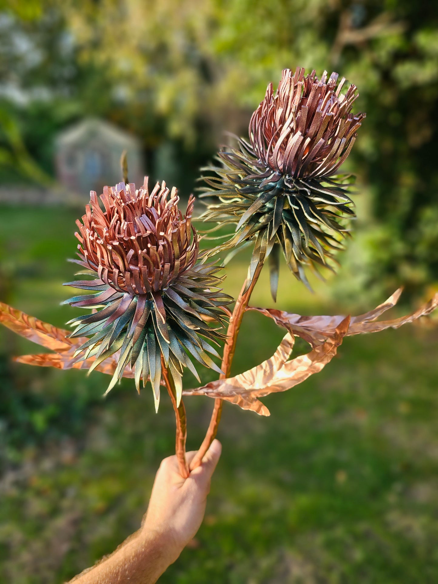 Copper Thistle