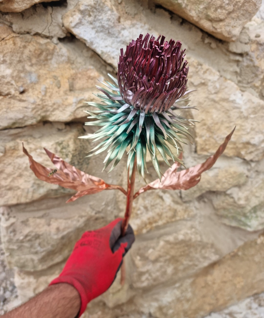 Copper Thistle