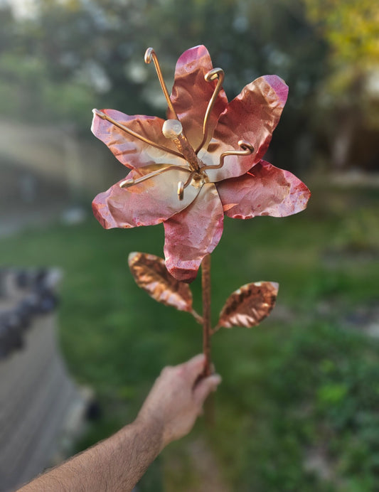 Copper Lily