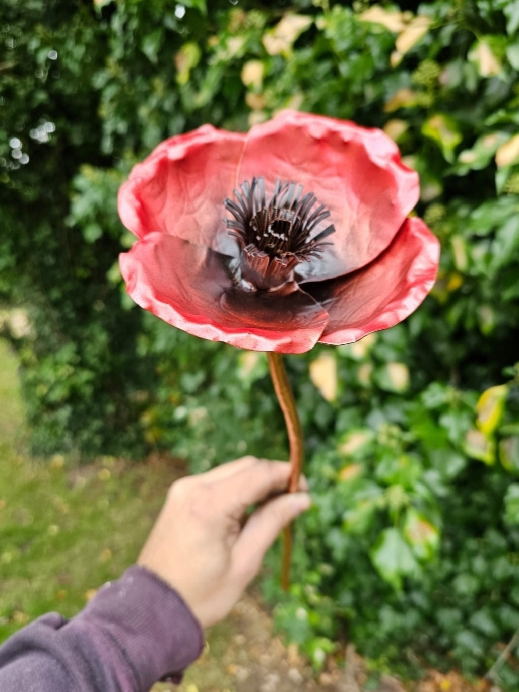 Copper Poppy