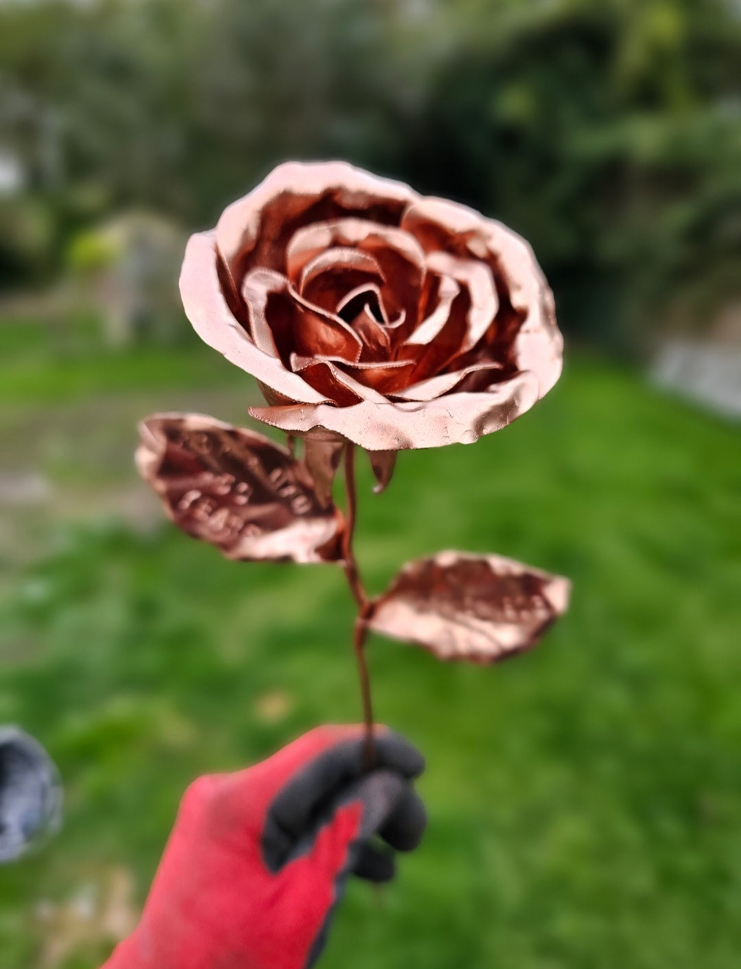 Pocket Rose