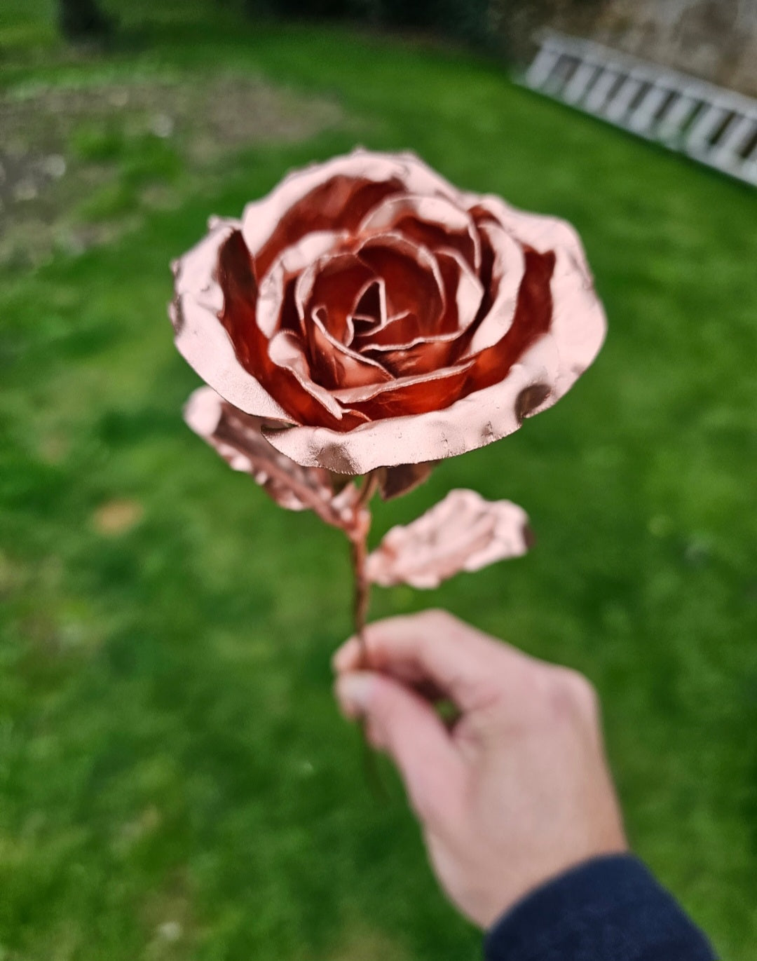 Pocket Rose