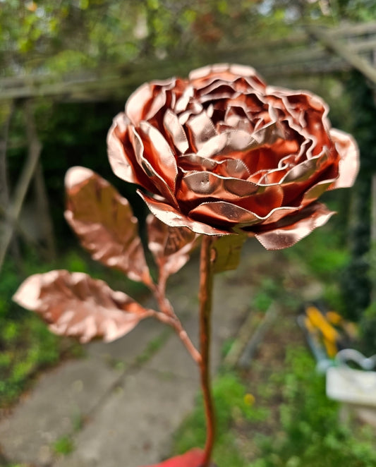 Copper Peony