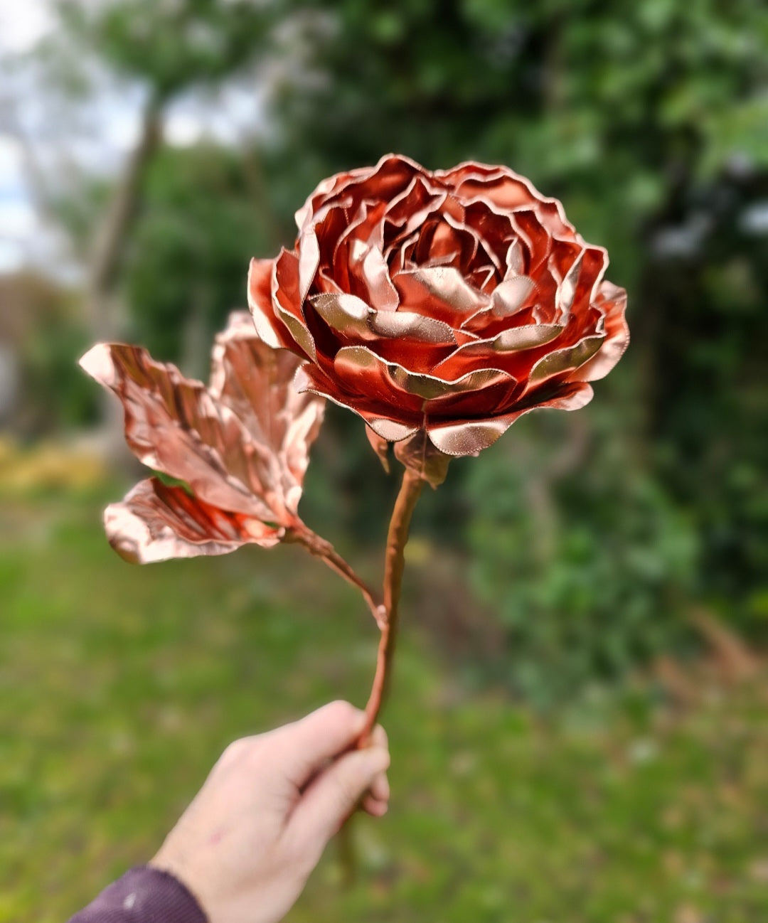 Copper Peony