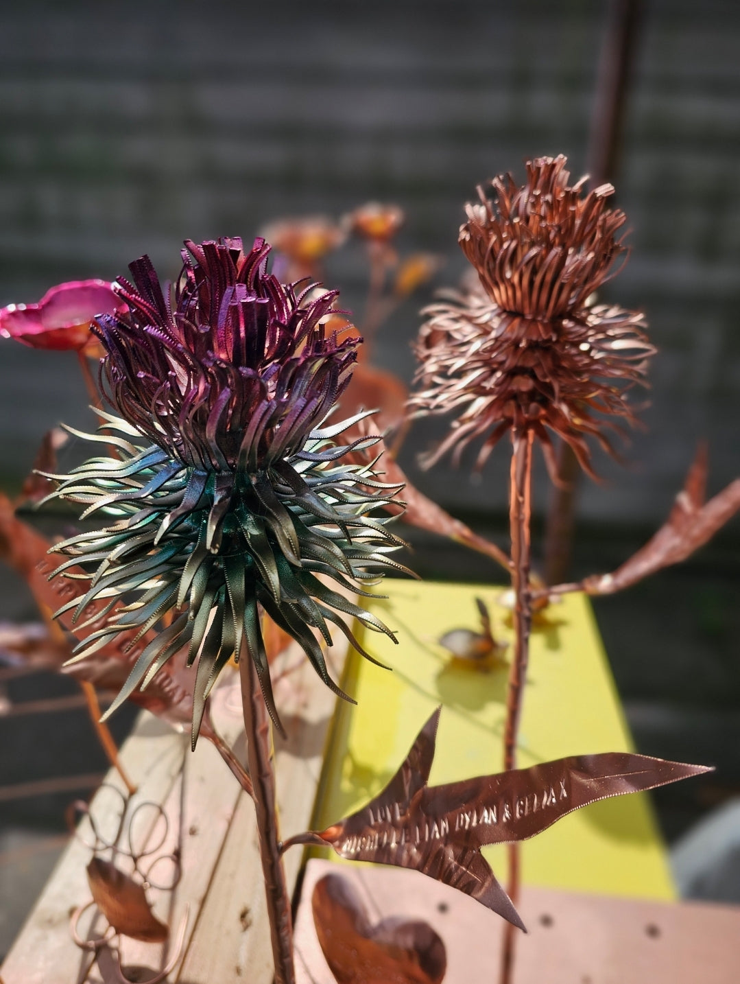 Copper Thistle