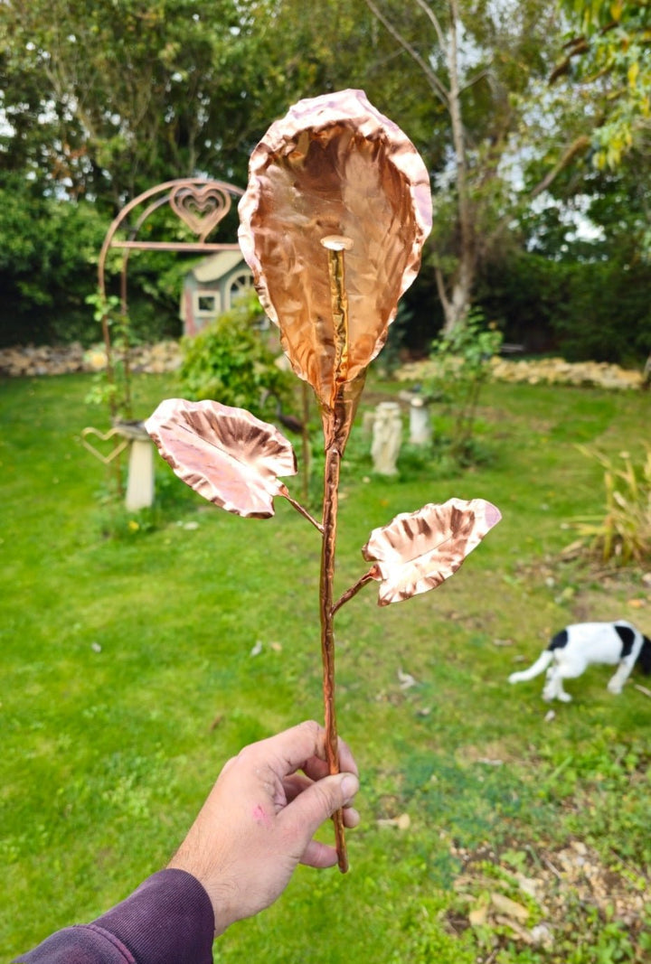 Calla Lily - Copper Hearts UK
