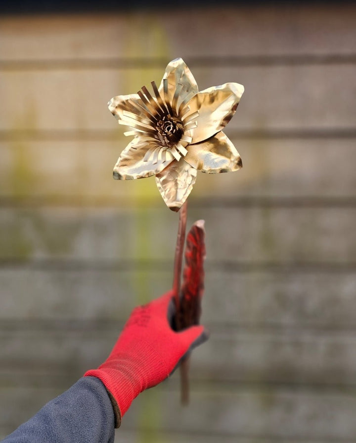 Copper Daffodil - Copper Hearts UK