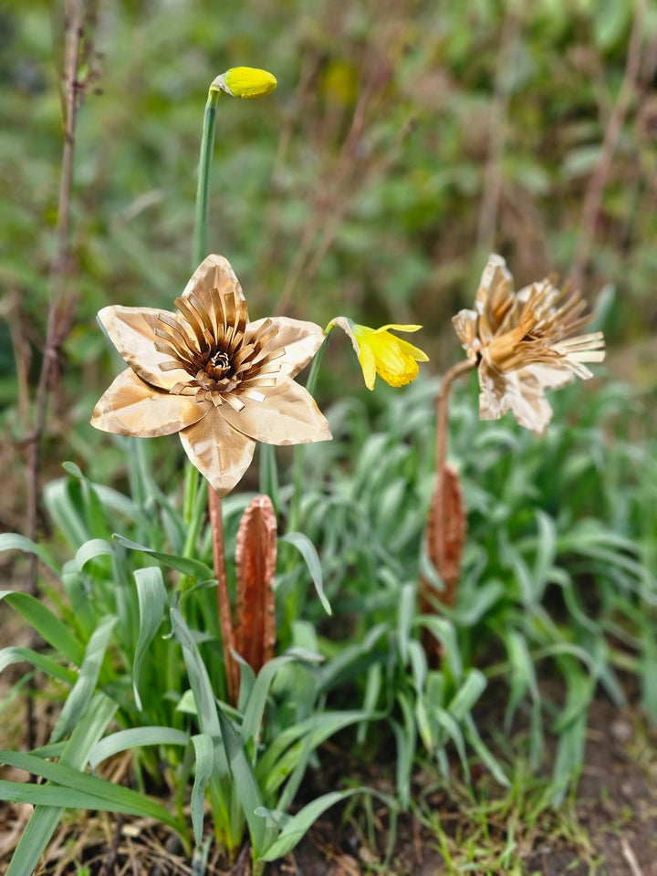 Copper Daffodil - Copper Hearts UK