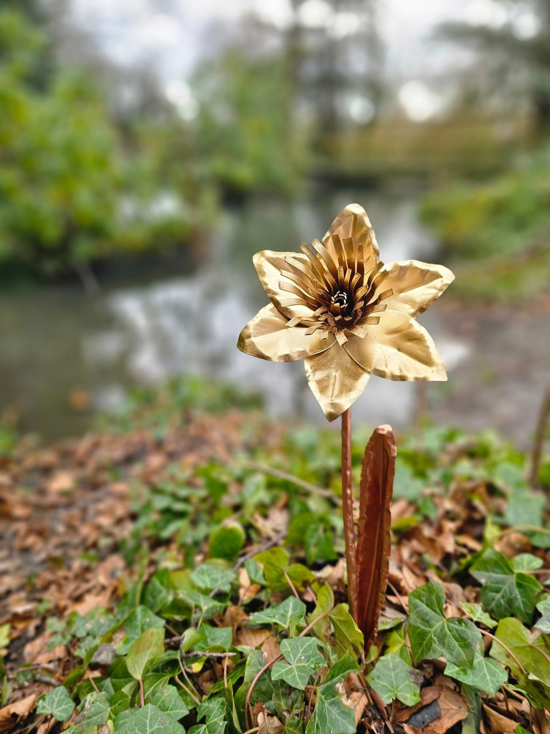 Copper Daffodil - Copper Hearts UK