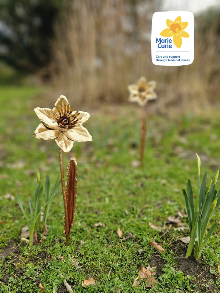 Copper Daffodil - Copper Hearts UK