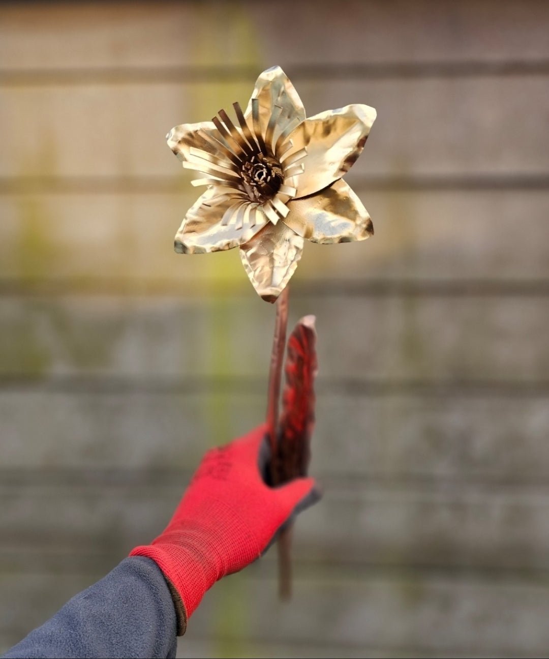 Copper Daffodil - Copper Hearts UK