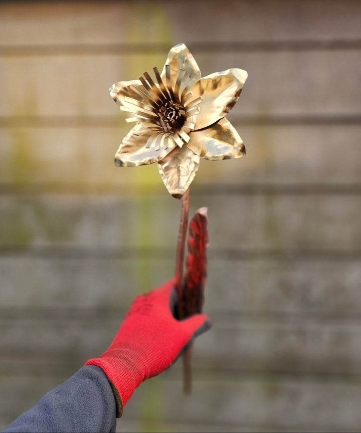 Copper Daffodil - Copper Hearts UK