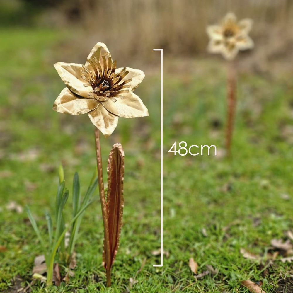 Copper Daffodil - Copper Hearts UK