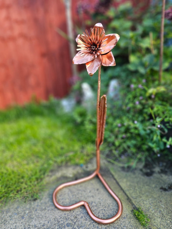Copper Daffodil - Copper Hearts UK