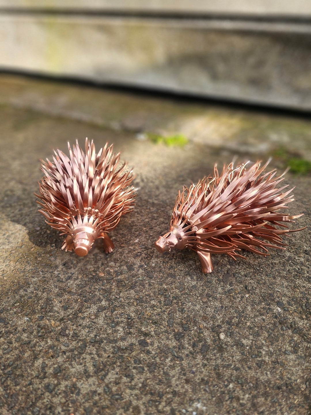 Copper Hedgehog - Copper Hearts UK