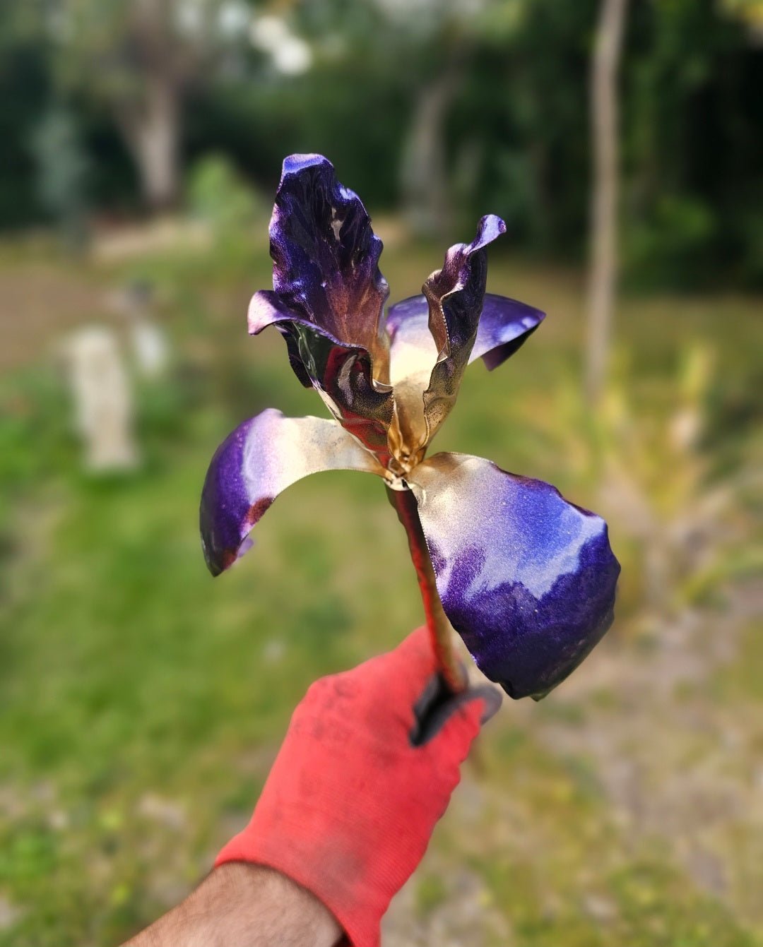 Copper Iris - Copper Hearts UK