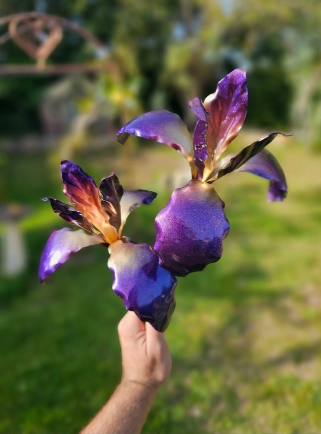 Copper Iris - Copper Hearts UK