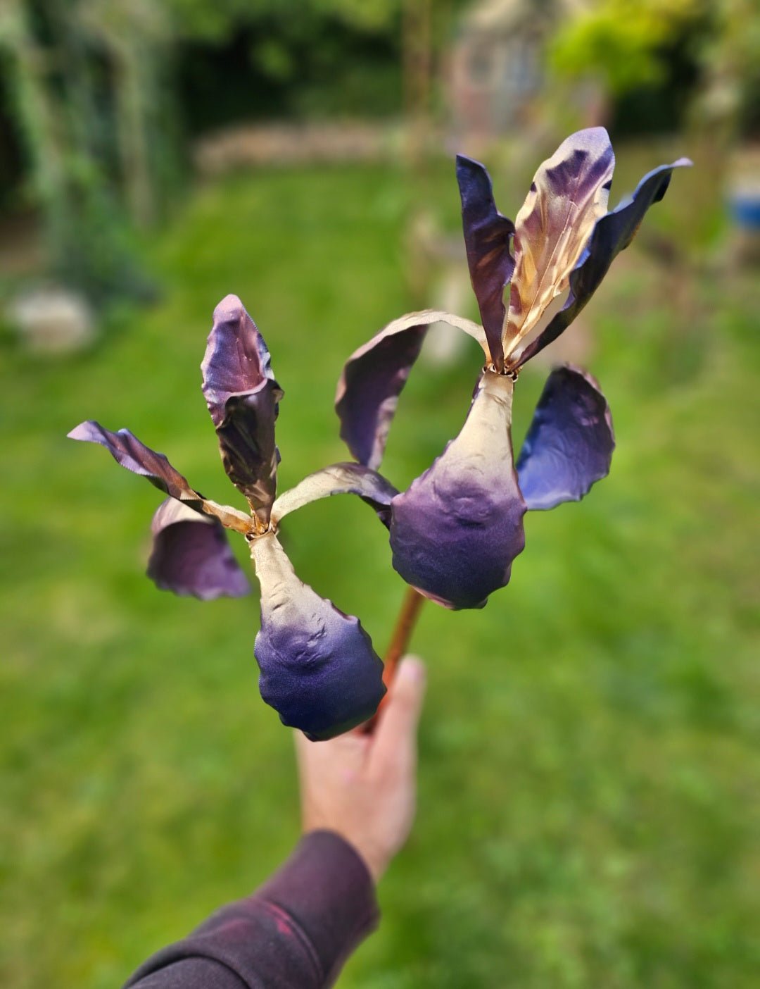 Copper Iris - Copper Hearts UK