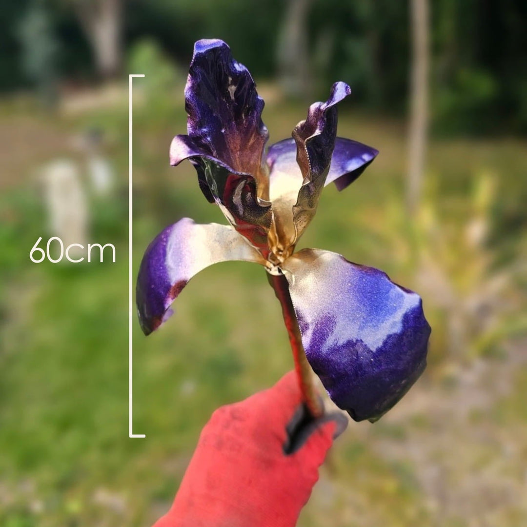 Copper Iris - Copper Hearts UK