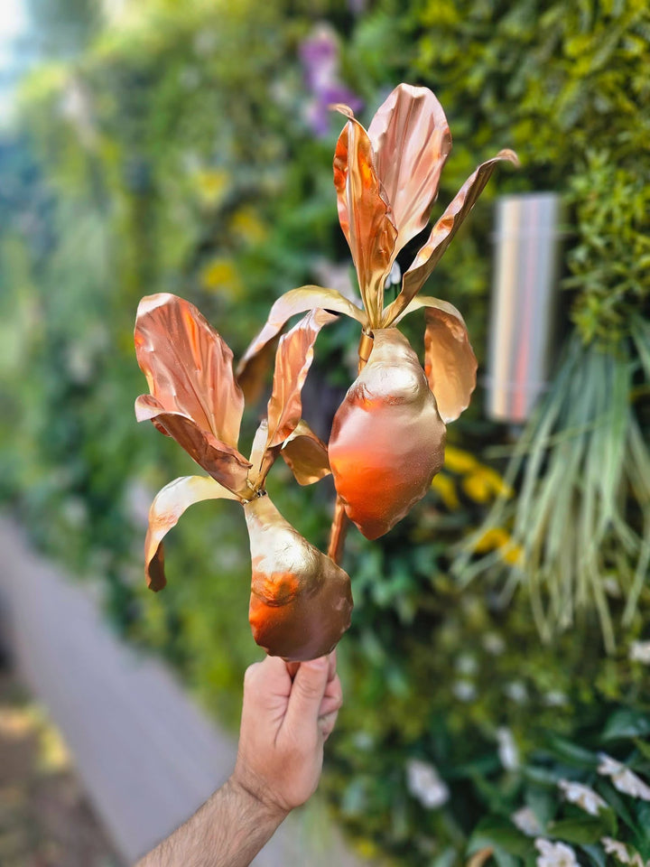 Copper Iris - Copper Hearts UK