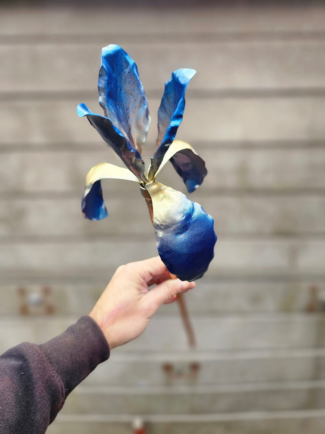 Copper Iris - Copper Hearts UK