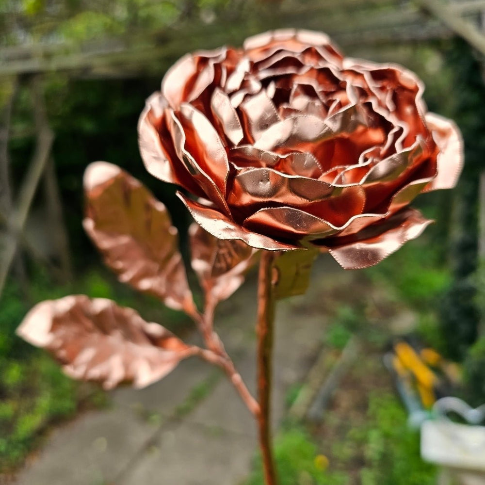 Copper Peony - Copper Hearts UK