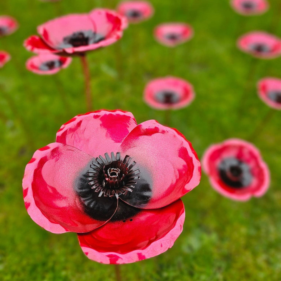 Copper Poppy - Copper Hearts UK
