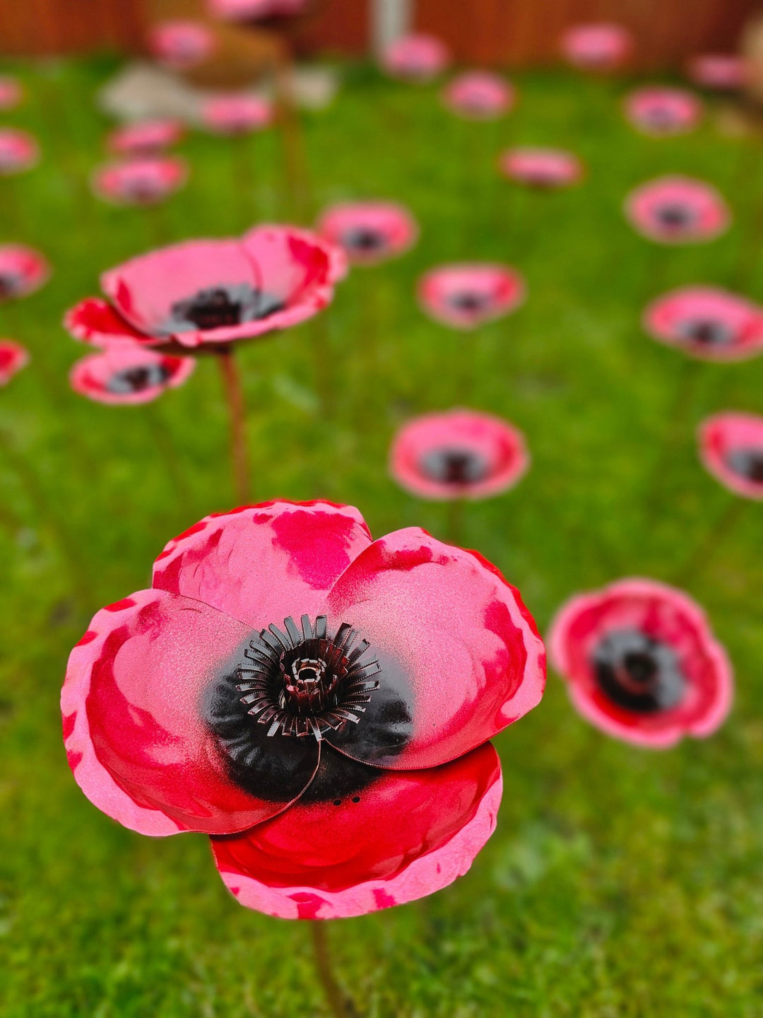 Copper Poppy - Copper Hearts UK