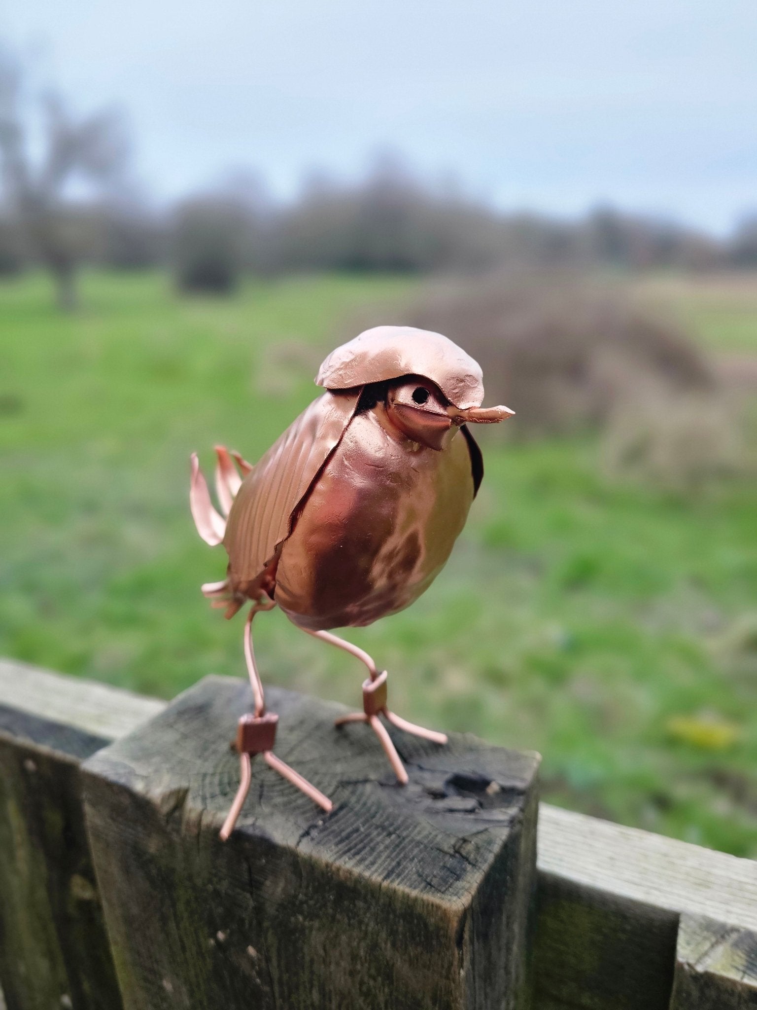 Copper Robin - Copper Hearts UK