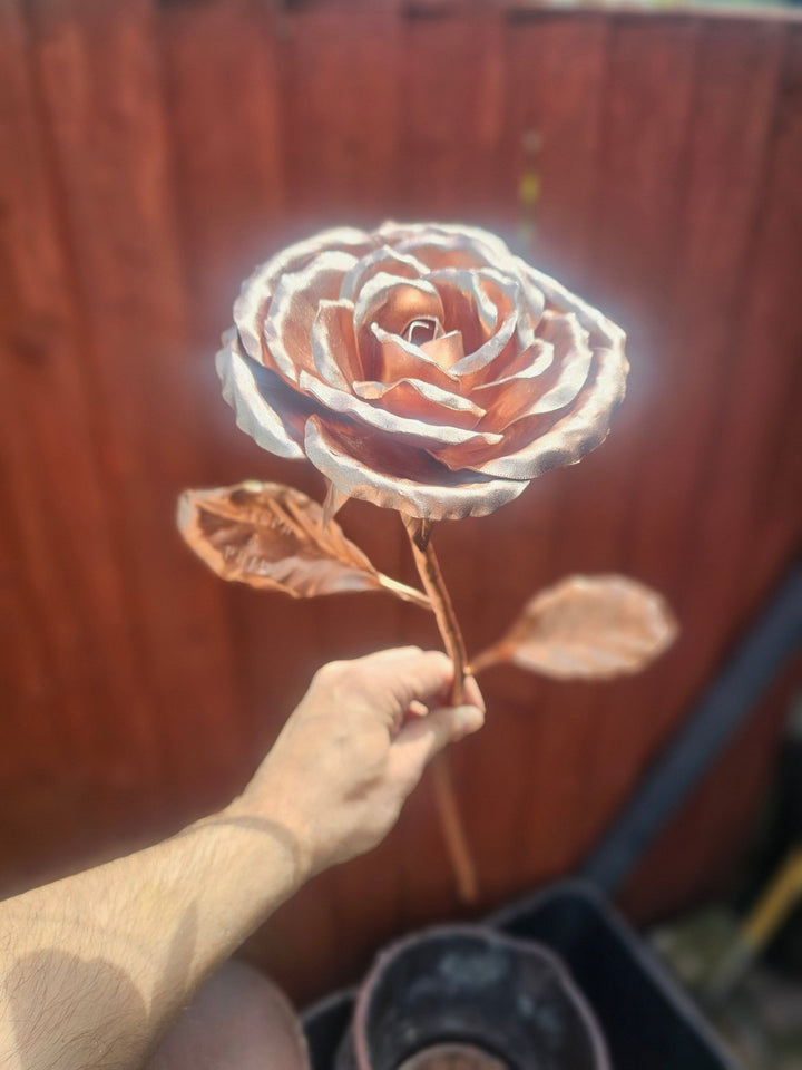 Copper Rose - Copper Hearts UK
