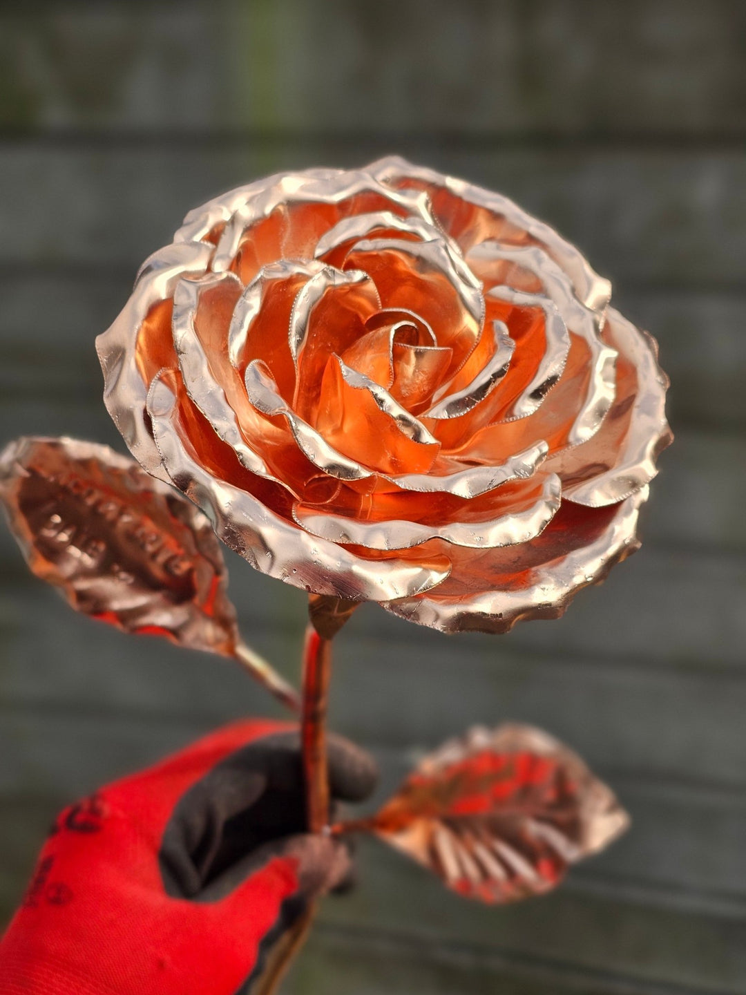 Copper Rose - Copper Hearts UK