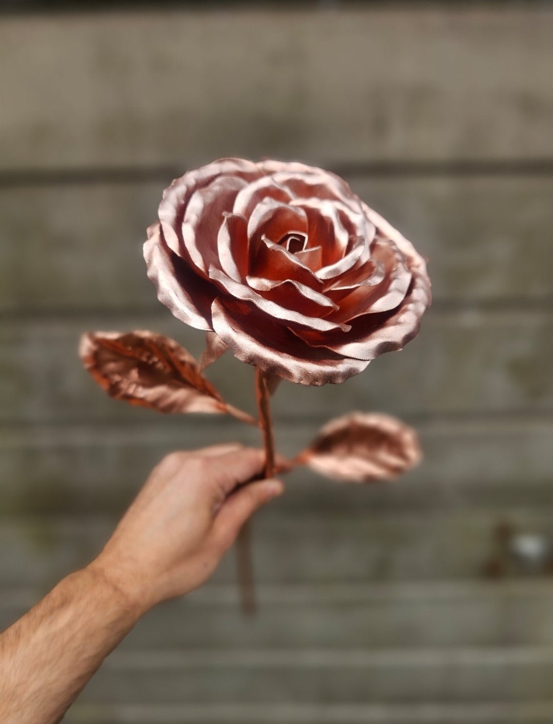 Copper Rose - Copper Hearts UK