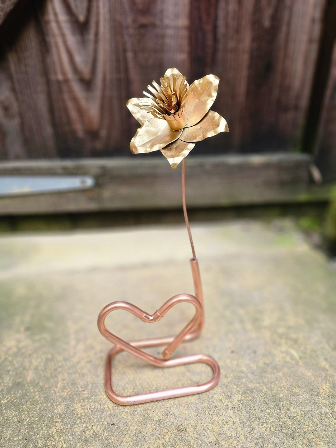 Pocket Daffodil - Copper Hearts UK