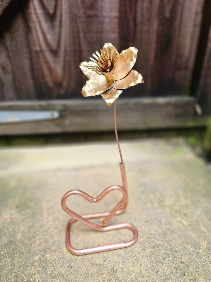 Pocket Daffodil - Copper Hearts UK