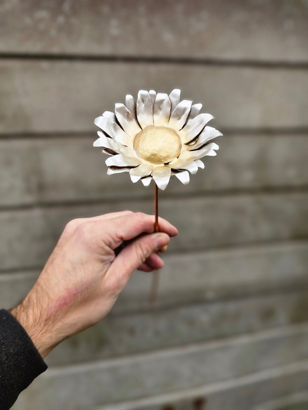 Pocket Daisy - Copper Hearts UK