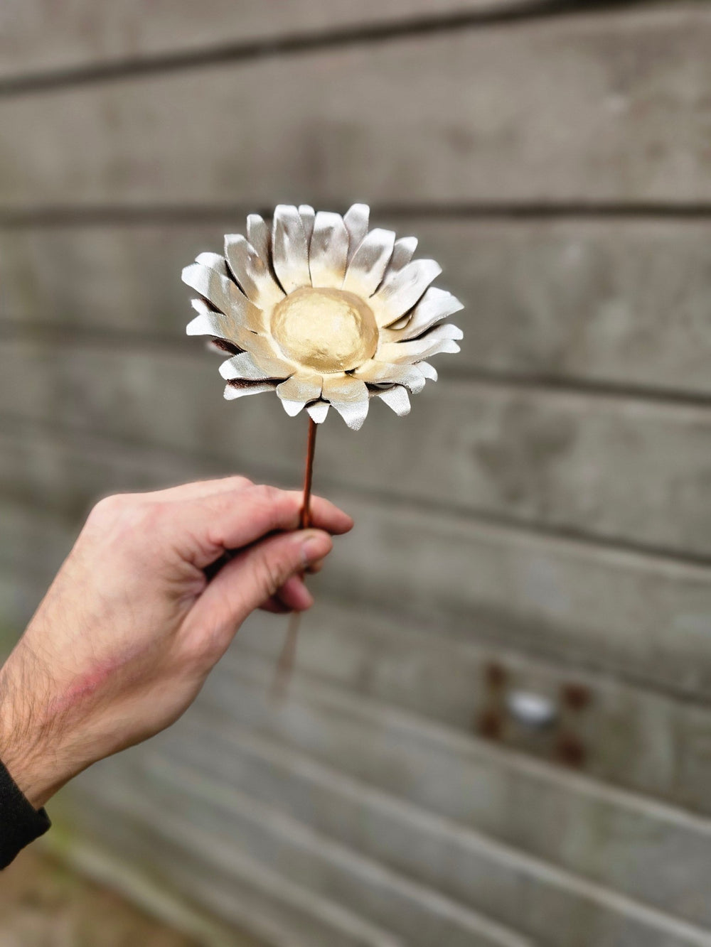 Pocket Daisy - Copper Hearts UK