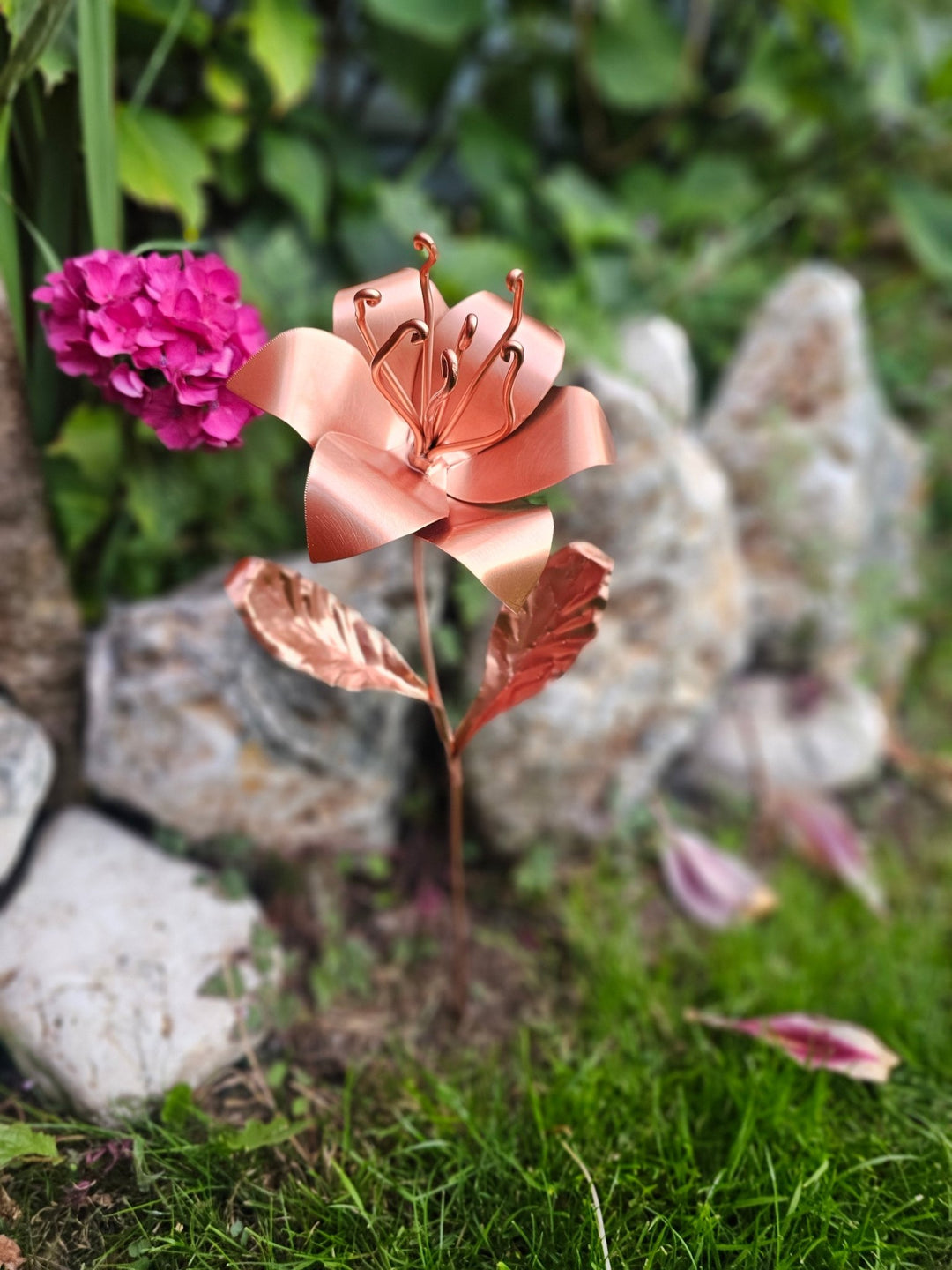 copper lily flower Pocket Lily – Copper Hearts UK