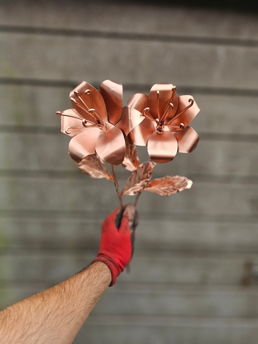 Pocket Lily - Copper Hearts UK