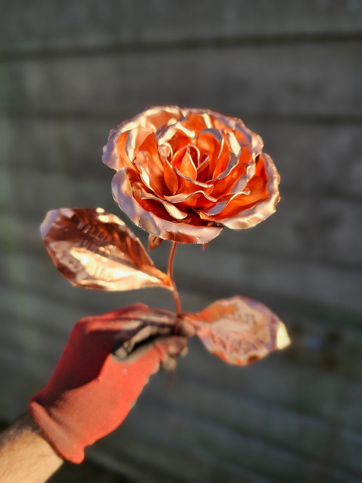 Pocket Rose - Copper Hearts UK