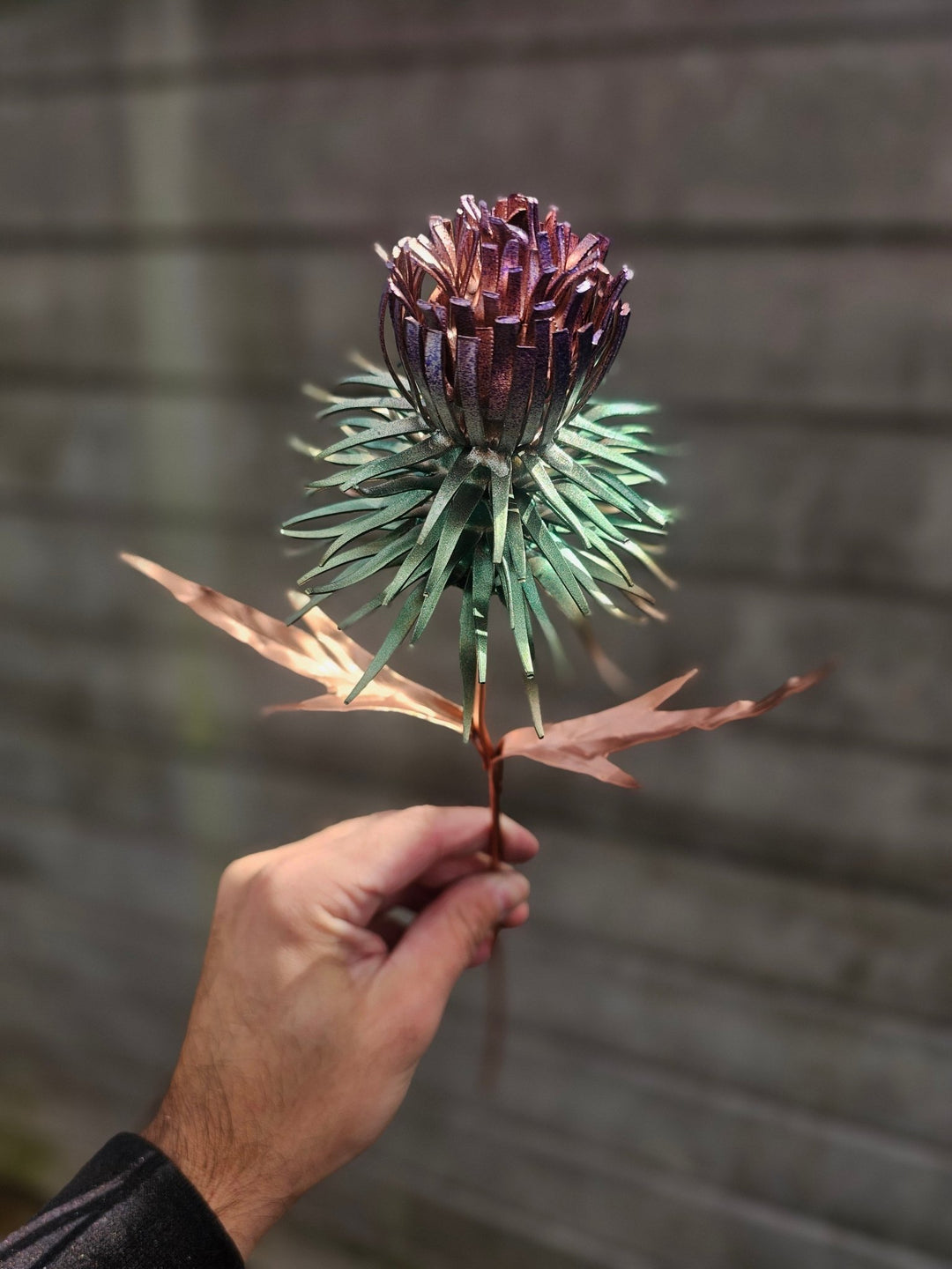 Pocket Thistle - Copper Hearts UK