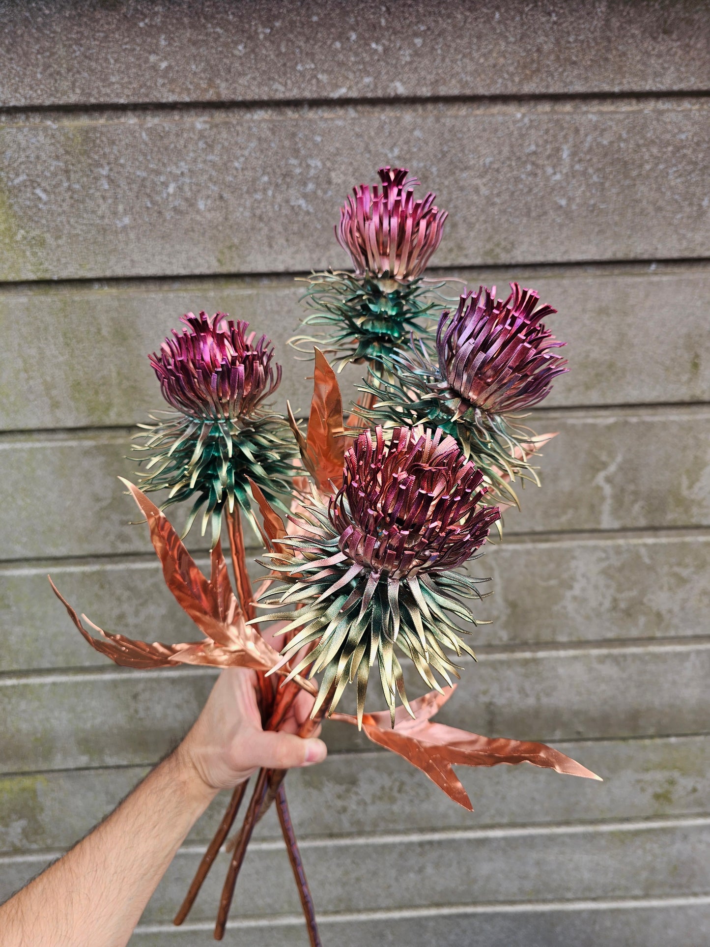 Copper Thistle