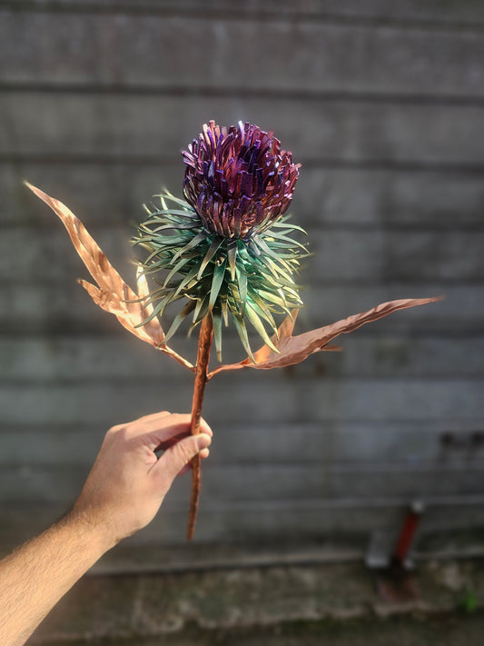Copper Thistle