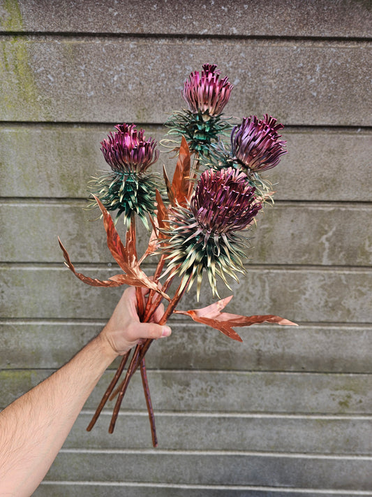 Copper Thistle